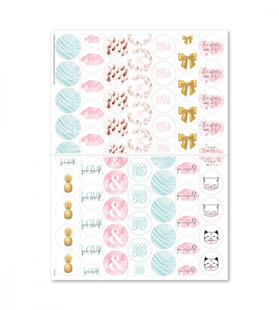 paket kit student (kit)