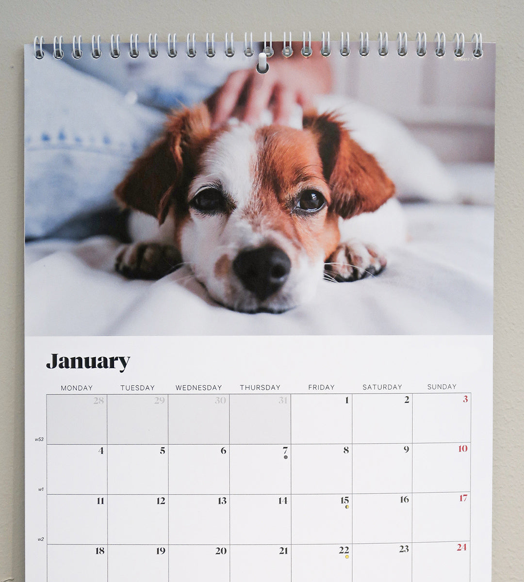 Self-adhesive wall hook for hanging a calendar without nails