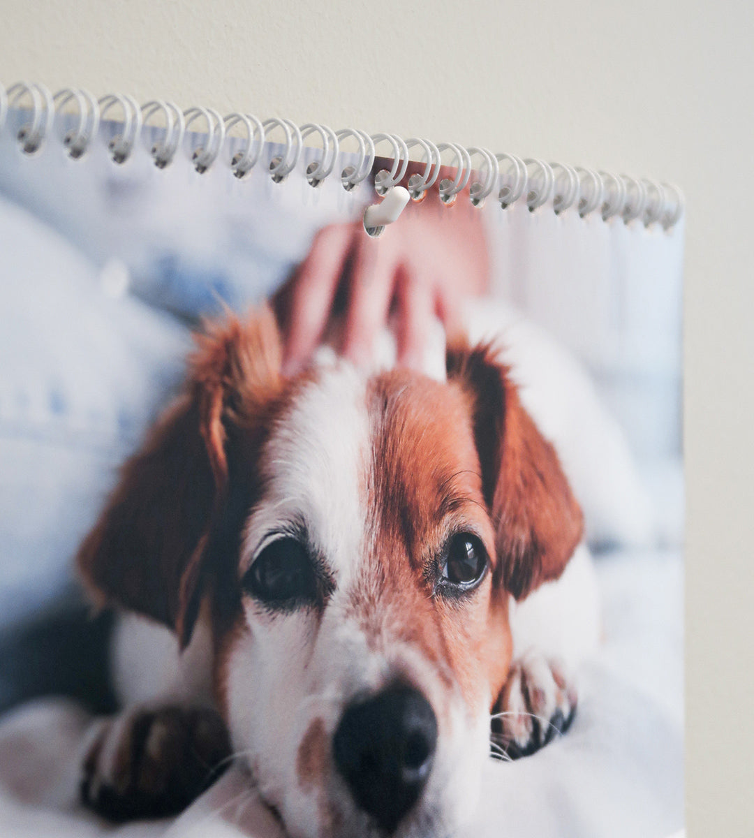 Discreet self-adhesive hook for wall calendars from Personal Planner