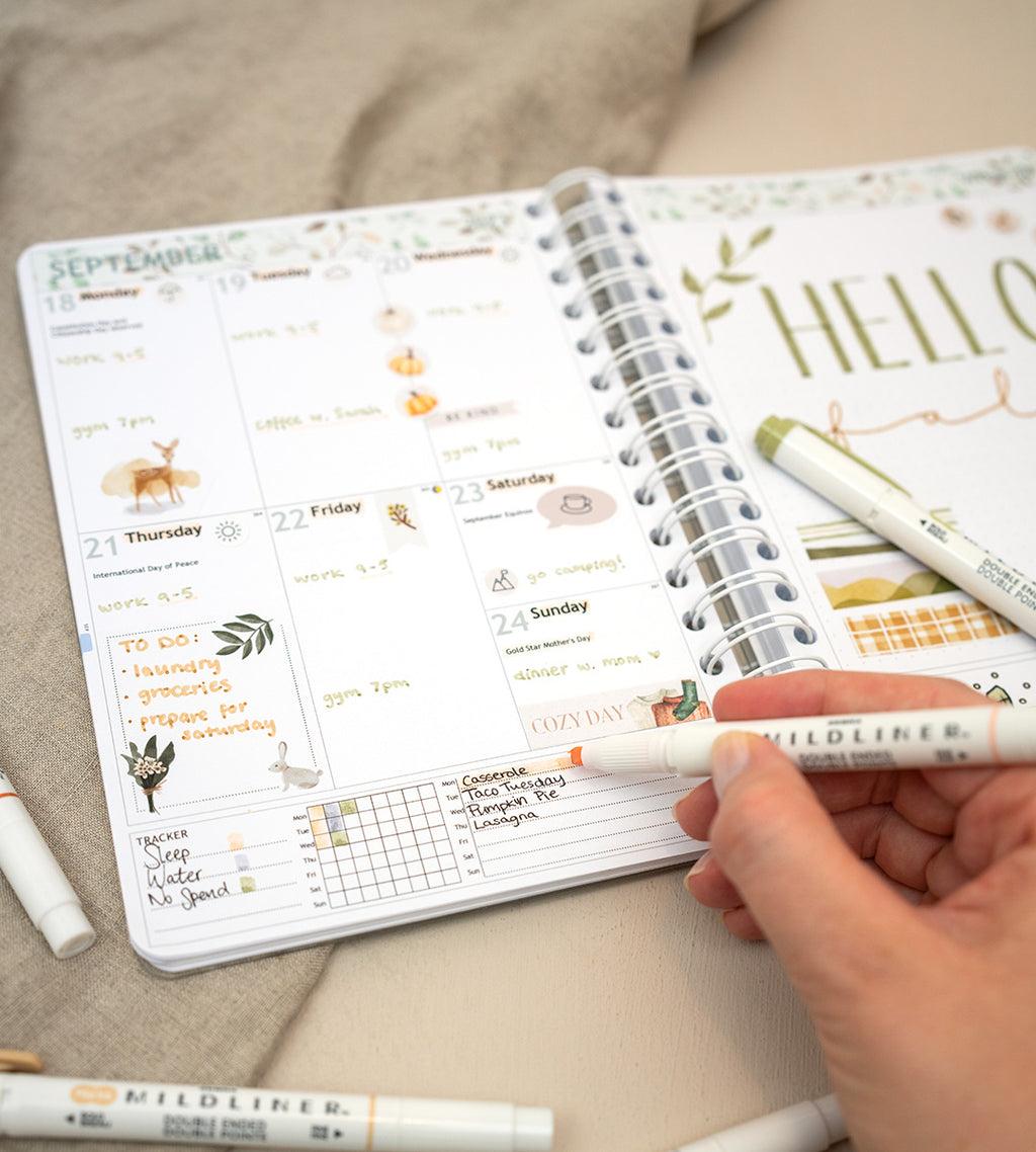 Highlighter - Zebra Mildliner 5 Pack