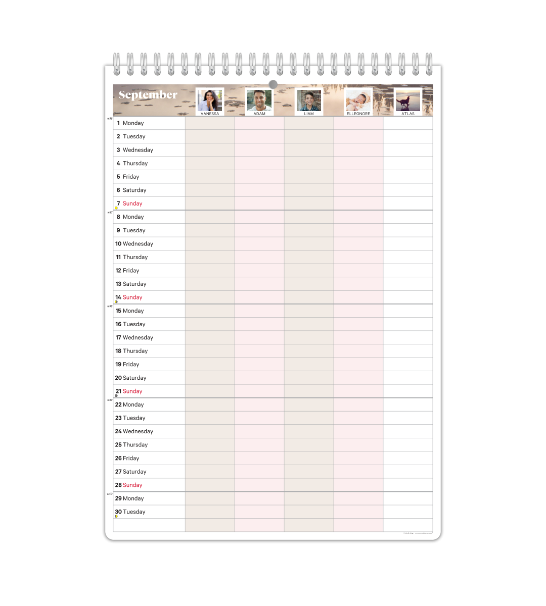 Family Planner - Monthly
