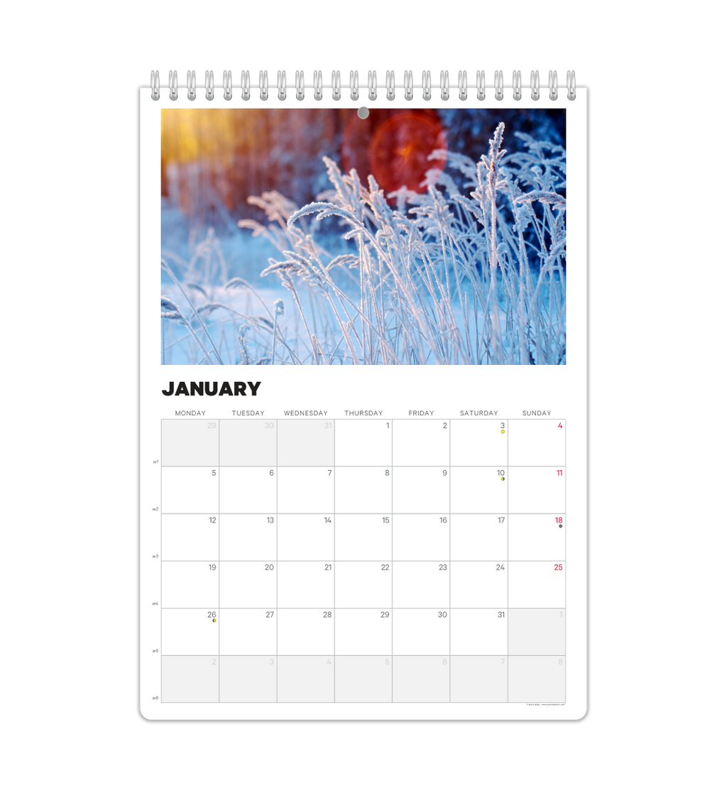 Photo Calendar - Monthly Overview