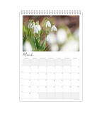 Photo Calendar - Monthly Overview