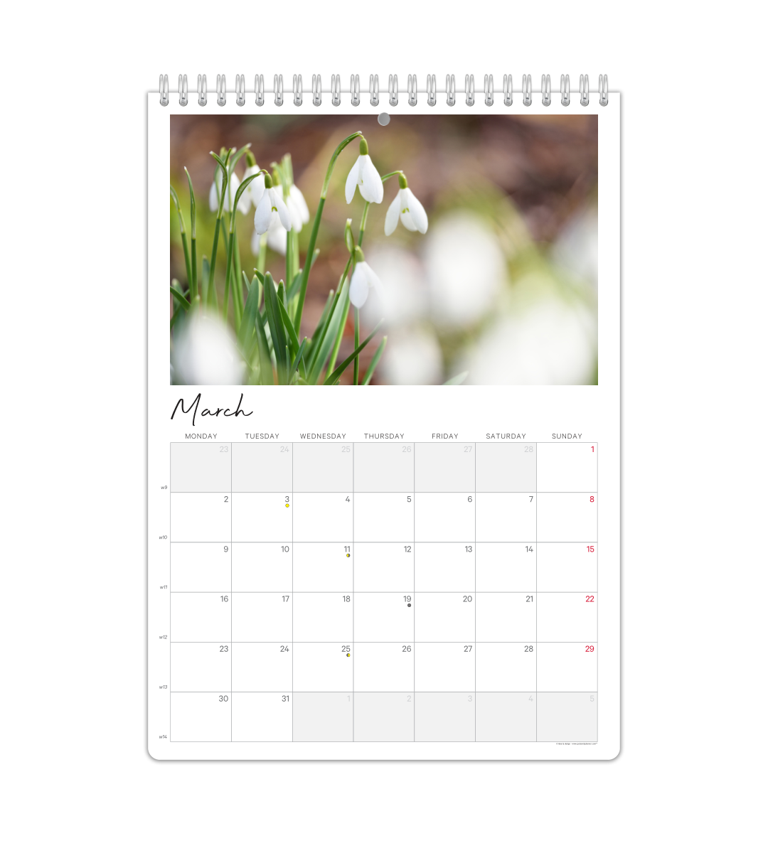 Photo Calendar - Monthly Overview