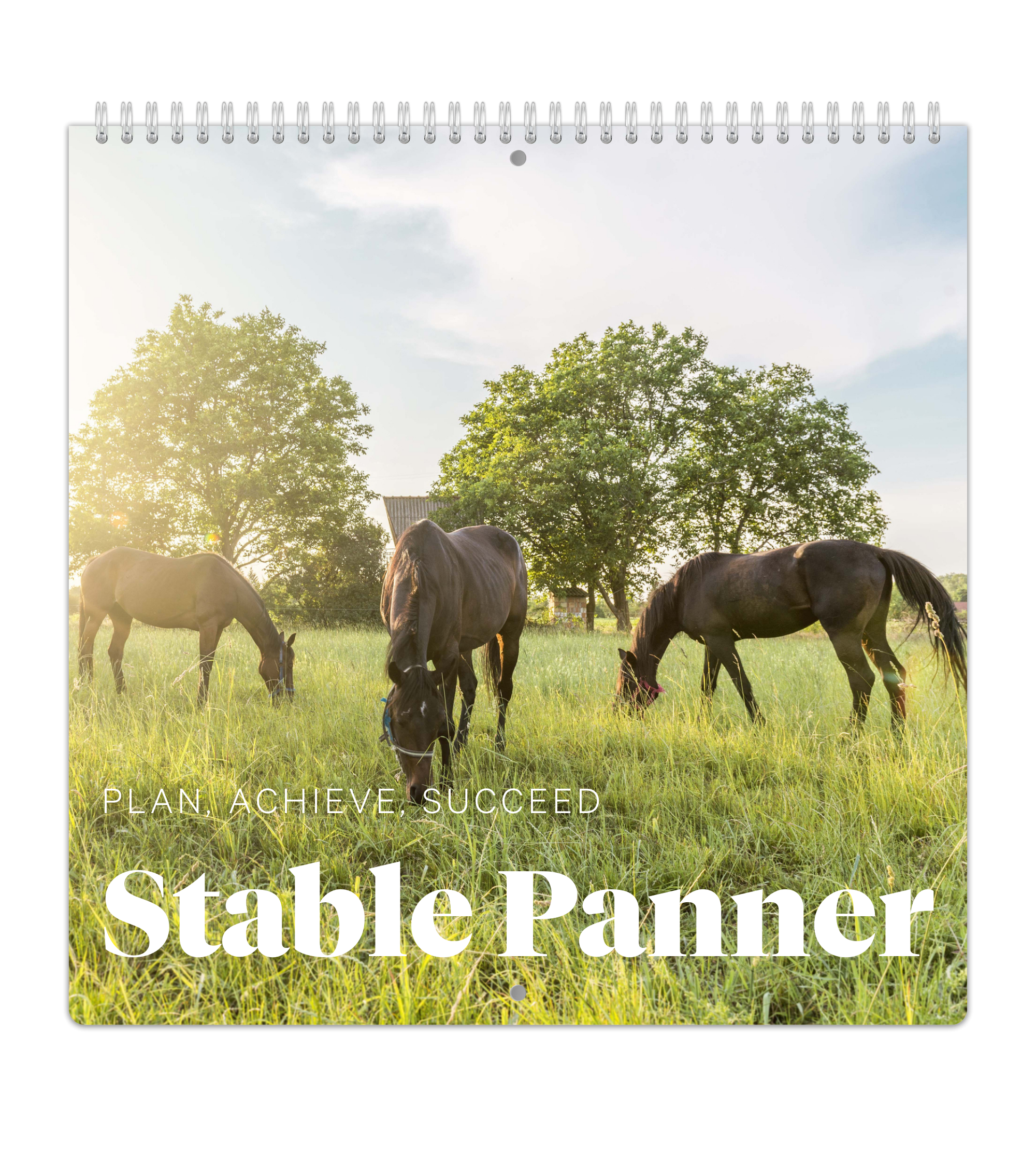 Stable Planner - Weekly Overview